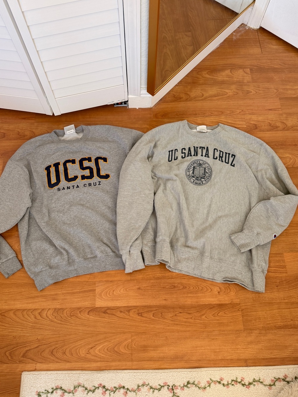 Champion Gray UC Santa Cruz Crewneck Sweatshirt